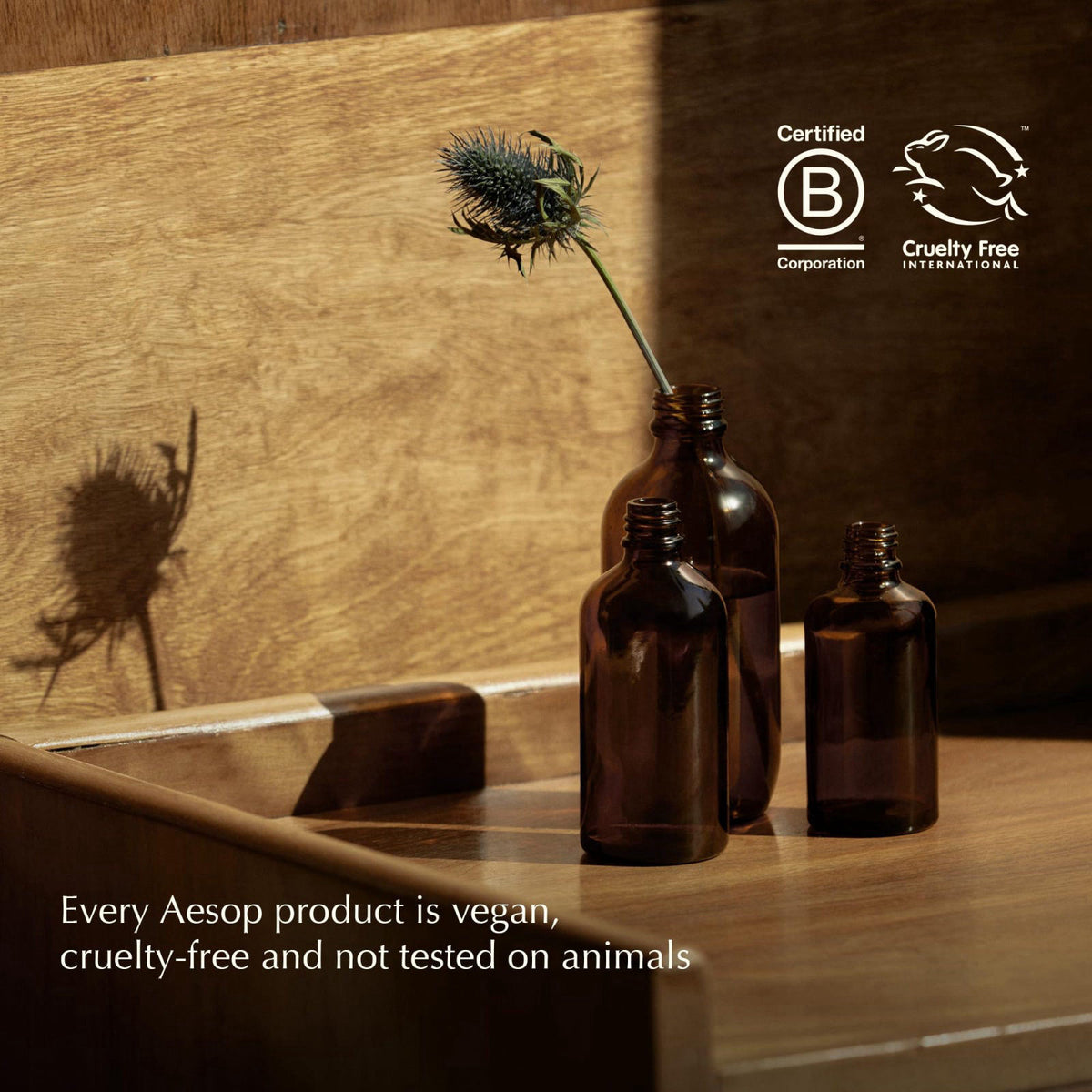 Aesop Shine Hair and Beard Oil — view 8