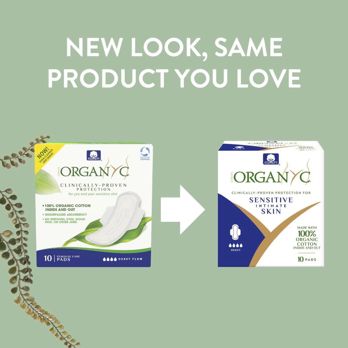 Organyc 100 Certified Organic Cotton Feminine Pads with — view 4