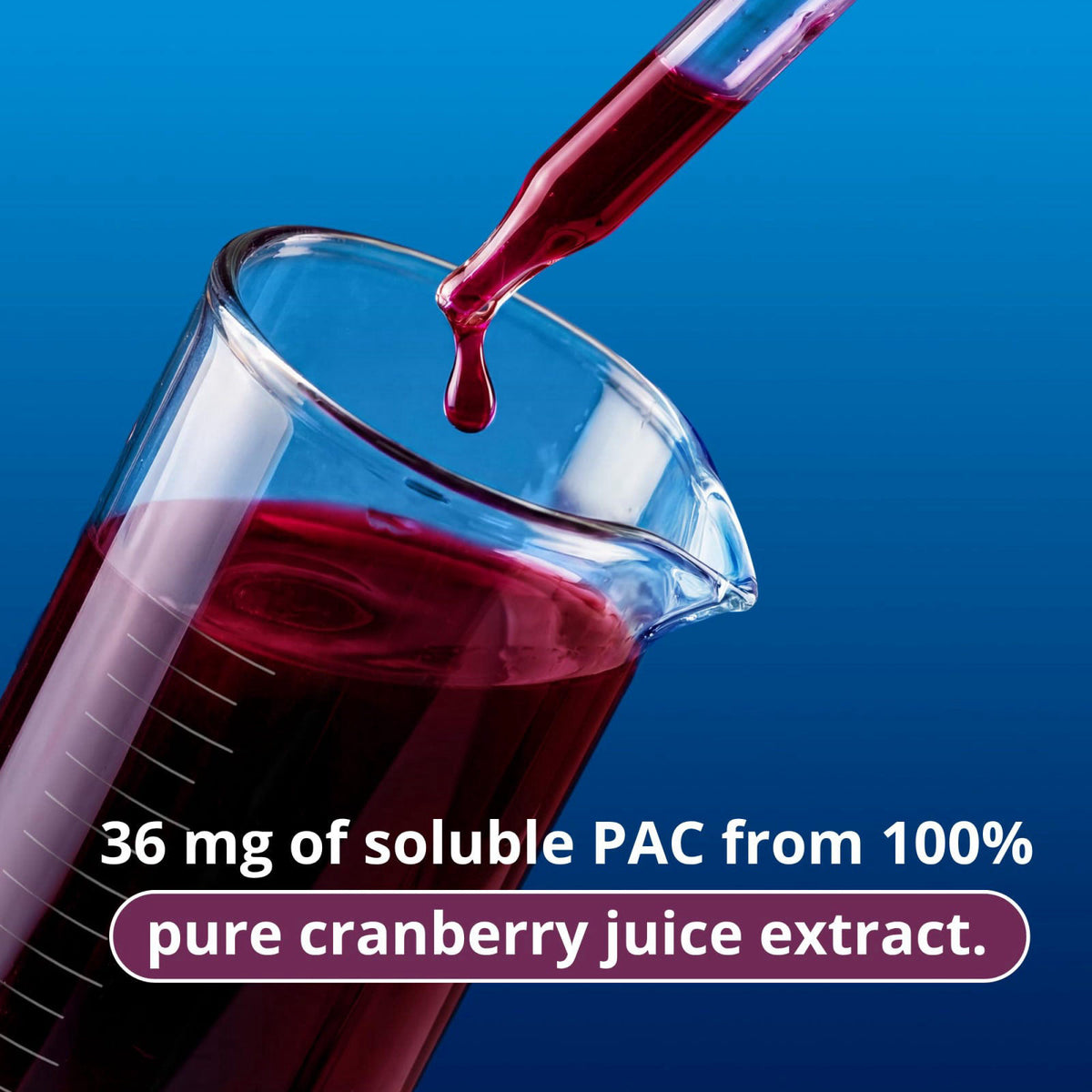 GennaMD Maximum Strength Cranberry Supplement 36 mg PAC 30 by Solv Wellness — view 6
