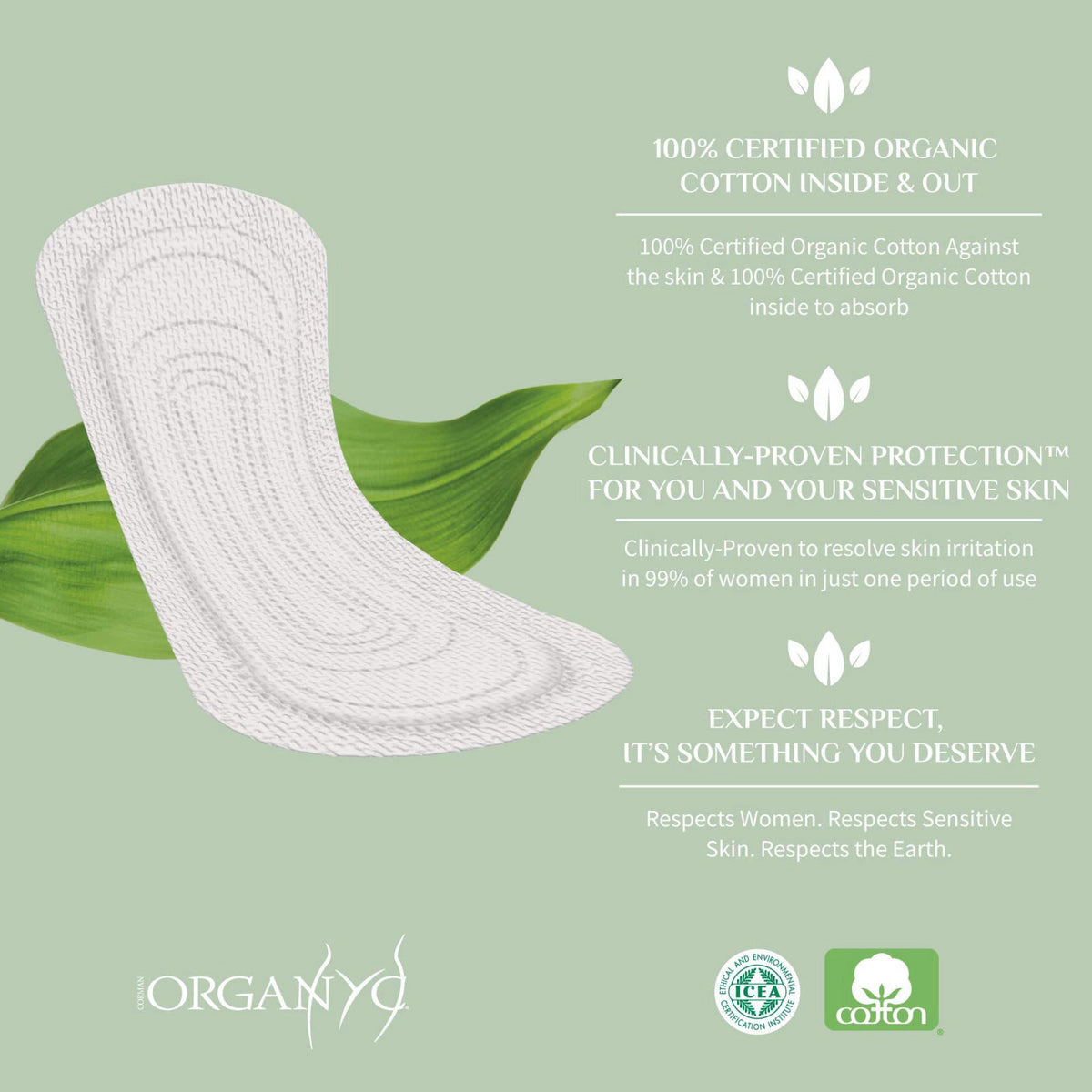 Organyc — view 6