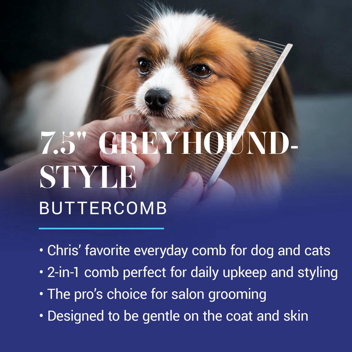 Chris Christensen 000 7 5 in Greyhound Style Fine Coarse — view 3