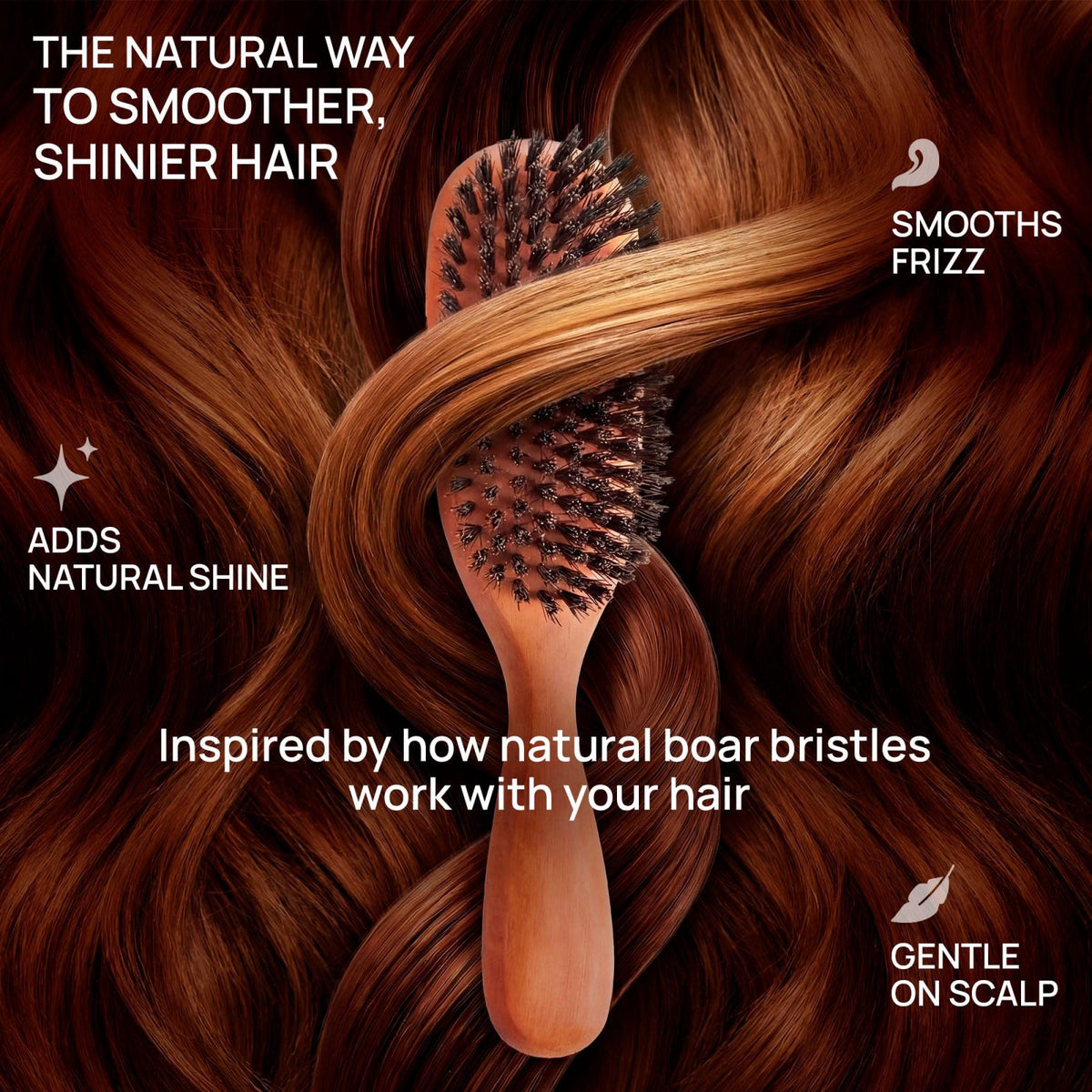 Desert Breeze Distributing 100% Pure Calcutta Boar Bristle Hairbrush for Natural Healthy Hair, Stiff Bristle, Made in Ge