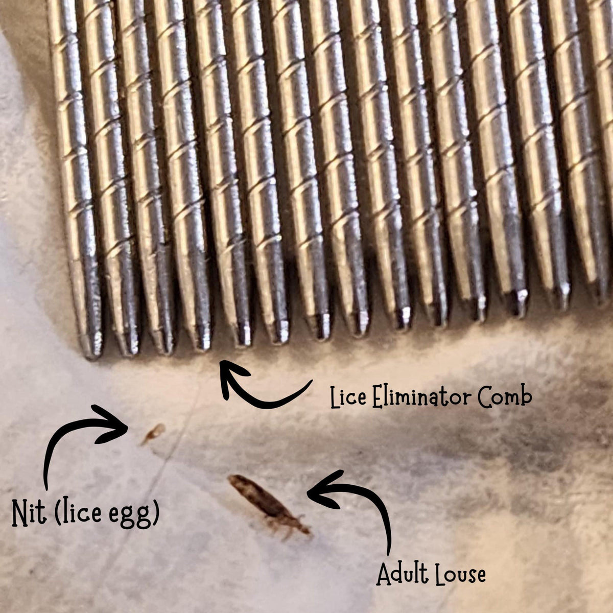 My Hair Helpers Lice Eliminator Comb by MY HAIR HELPERS NATURAL LICE REMOVAL — view 5