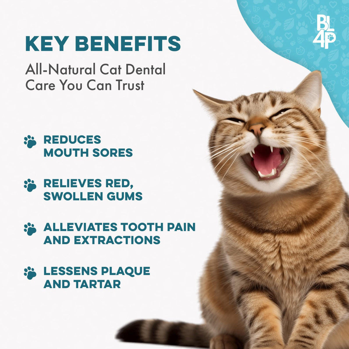BestLife4Pets Cat Dental Care Supplement — view 4