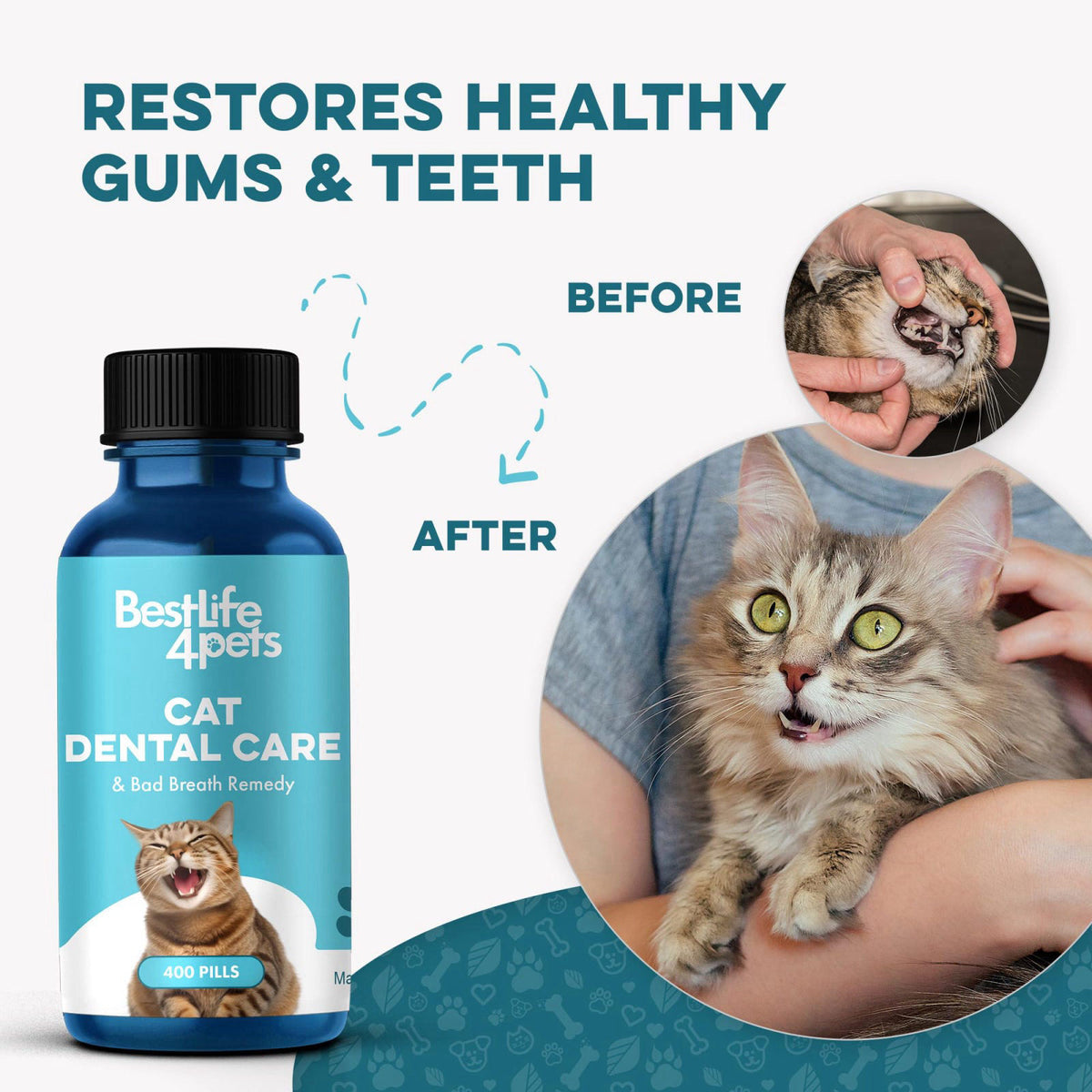 BestLife4Pets Cat Dental Care Supplement — view 5