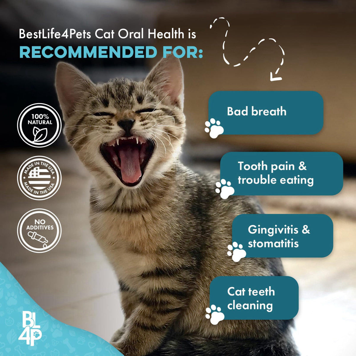 BestLife4Pets Cat Dental Care Supplement — view 6